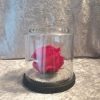 Rose éternelle sous cloche en verre