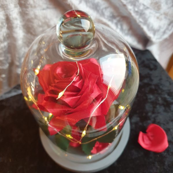 Rose en satin sous cloche en verre