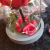 Rose en satin sous cloche en verre