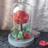 Rose en satin sous cloche en verre