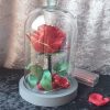 Rose en satin sous cloche en verre