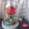 Rose en satin sous cloche en verre