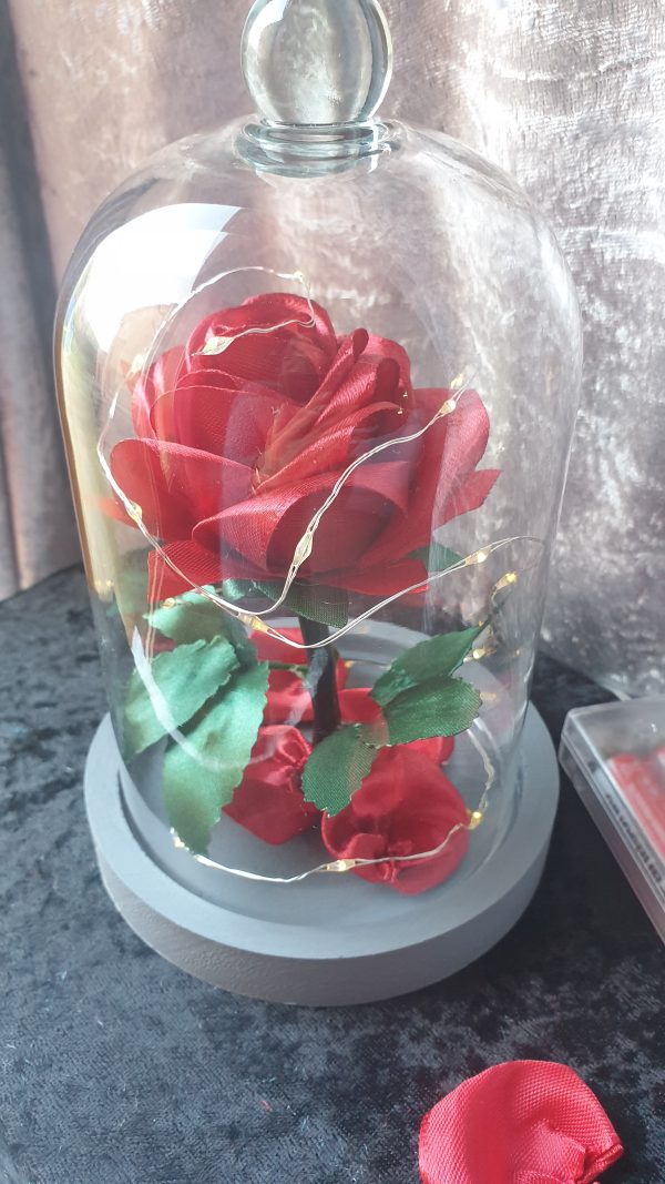 Rose en satin sous cloche en verre