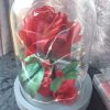 Rose en satin sous cloche en verre