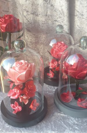 Sous cloche en verre