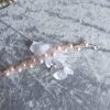 Bracelet en perles de cristal nacré et rocailles calibrées