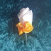 Boutonnière de marié en satin