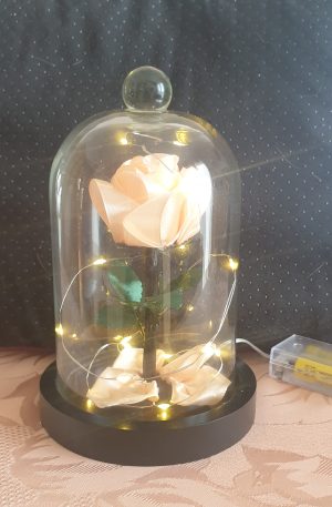 Rose en satin sous cloche en verre