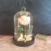 Rose en satin sous cloche en verre