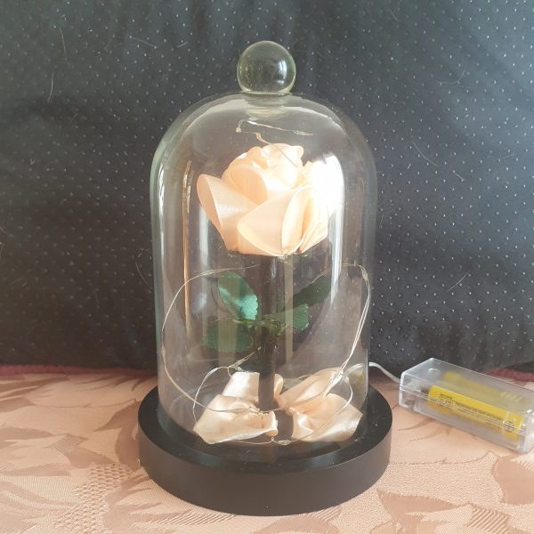 Rose en satin sous cloche en verre