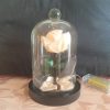 Rose en satin sous cloche en verre