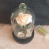 Rose en satin sous cloche en verre