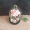 Rose en satin sous cloche en verre