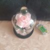 Rose en satin sous cloche en verre