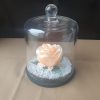 Rose en satin sous cloche en verre
