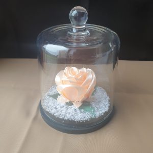 Rose en satin sous cloche en verre
