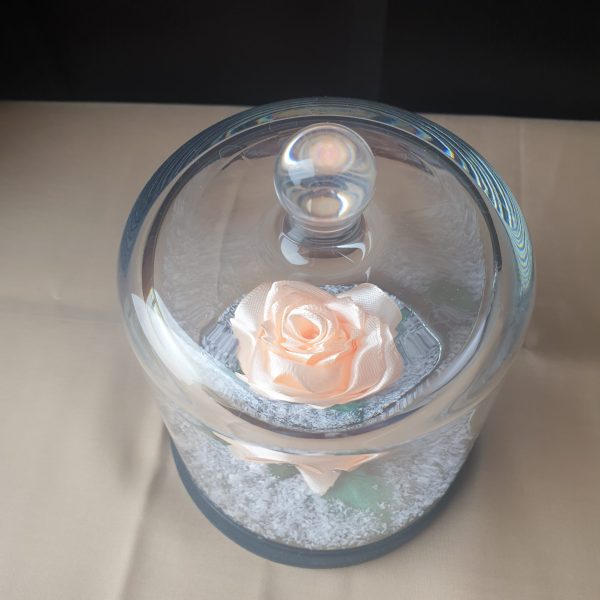 Rose en satin sous cloche en verre