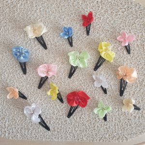 Pince clip à cheveux